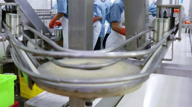 Workers in uniforms and gloves sort sardines fresh mackerel that have been processed through cold water keep them fresh and put them in cans conveyor belt modern production process canning factory.