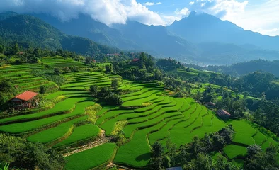 Gardinen Terraced fields landscape © b