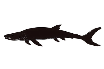 Naklejka premium Ancient Marine Reptiles: Discover Extinct Ichthyosaur's Aquatic Life