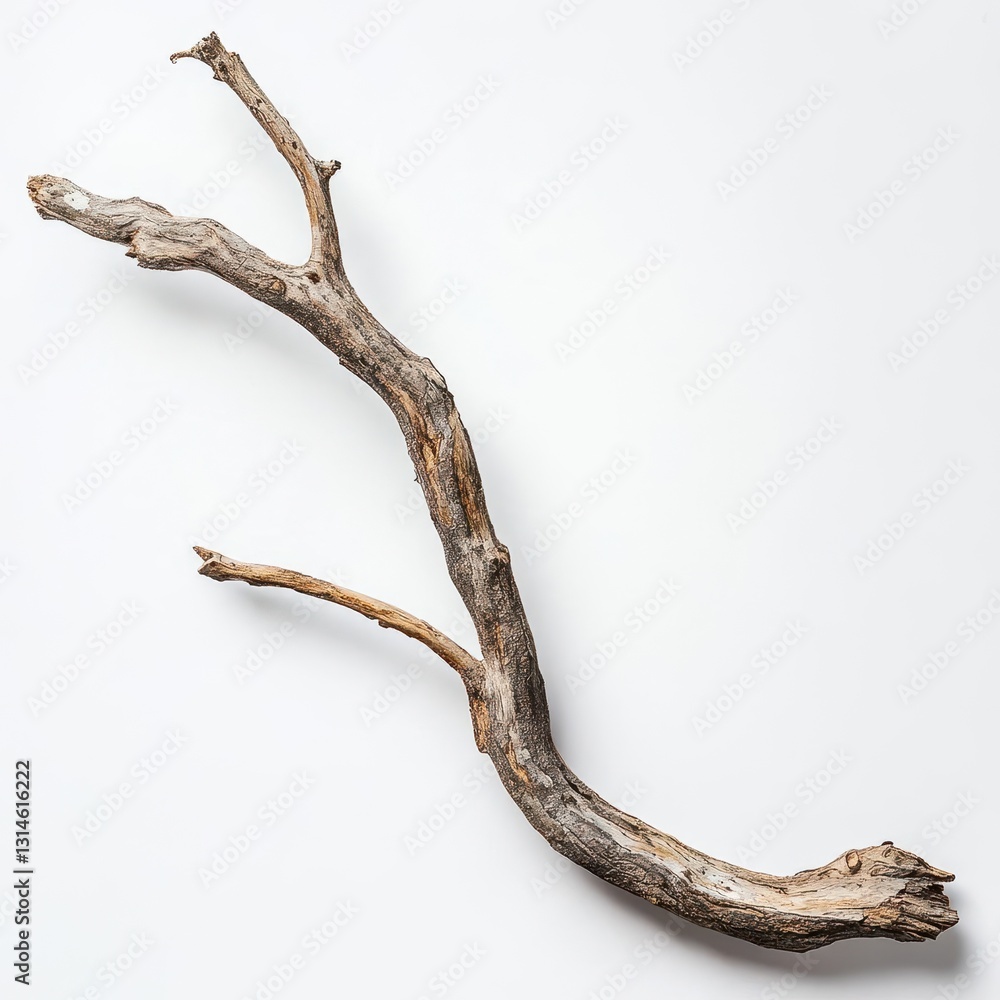 Poster minimalist isolated dry tree branch displayed on a pristine white background evoking natural texture