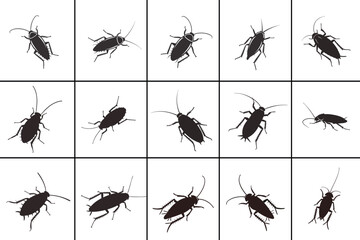 Vector Silhouette of Dead Cockroach  Black Icon, Lying on Its Back