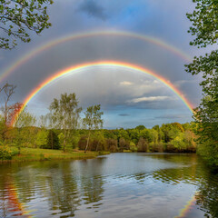 A rare double rainbow in the forest