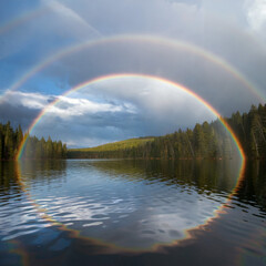 A rare double rainbow in the forest