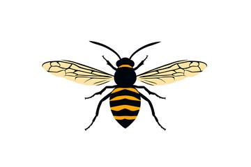 Striped Wasp: Anatomy, Flight, & Habitat Exploration