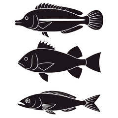 Stylized Black Silhouettes of Butterflyfish, Eel, Rockfish, and Flying Fish