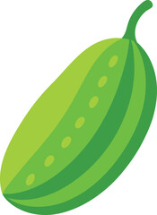 Bitter melon vector illustration