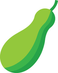 Bottle gourd vegetable illustration