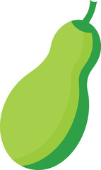Bottle gourd vegetable illustration