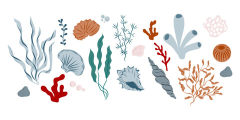 Obraz premium Set of seashells, algae, seaweeds, corals, different shapes and colors, hand drawn ocean life