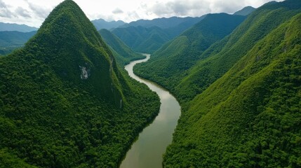 Naklejka premium Aerial View of Serene Green River Winding Through Lush Mountains
