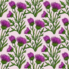 A seamless watercolor Thistle floral pattern featuring vibrant purple flowers with green stems and leaves on a pastel pink background.
