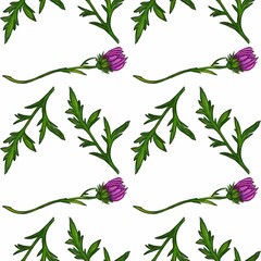 A watercolor seamless pattern featuring thistle wildflower and green leaves on a white background.
