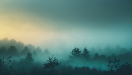 Foggy Forest Background with filtered colors Perfect as a backdrop for quotes or motivational typographic text.