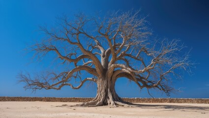 Tree of The Blessed Tree set against a stunning blue sky backdrop.