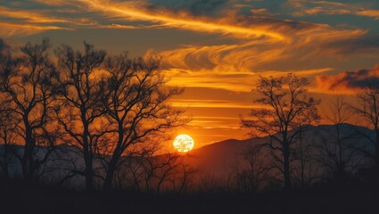 Obraz premium Astonishing golden sunset over the silhouettes of black trees. Stunning golden sunset landscape scenery background wallpaper. Golden Sunset Over Trees and Mountains with Dramatic Clouds.
