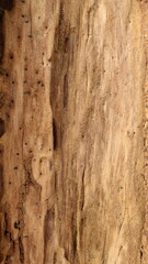 unique wood texture