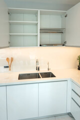 Modern Kitchen with White Cabinets and Stainless Steel Sink Featuring Minimalist and Clean Design