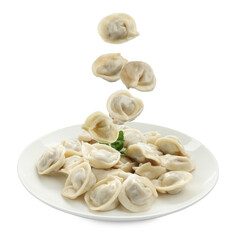 Tasty boiled dumplings (pelmeni) falling onto plate against white background