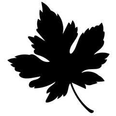 Silhouette of a maple leaf with five large lobes, sharp tips, and a short petiole, representing nature's beauty and the vibrant colors of autumn foliage.

