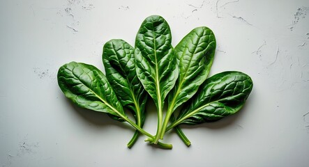 Obraz premium Fresh spinach leaves laid flat on a white background. Top view of isolated, young spinach in green.