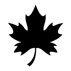 Black silhouette of a maple leaf with five sharp points and a curved stem, autumn leaves, symbol of Canada.