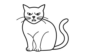 black cat on white background