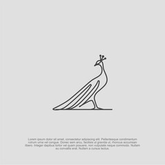 Outline peacock bird minimalist logo with a graceful and luxurious design, suitable for fashion brands, beauty businesses, and premium creative agencies