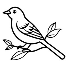 bird on branch