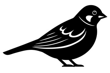 bird on a white background