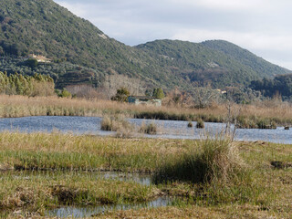 beautiful view of the naturalistic oasis of lake massaciuccoli in the province of lucca tuscany