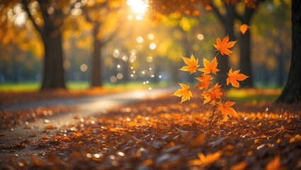Autumn leaves illuminated by the sun with blurred trees in the background.