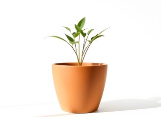 Obraz premium Indoor Plant in Modern Terracotta Pot,