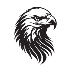 Fototapeta premium Powerful Black and White Eagle Head illustration