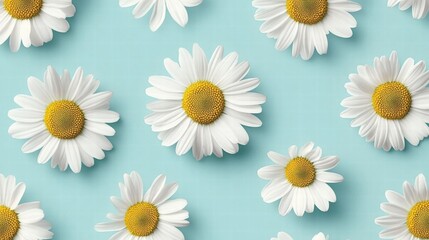 Obraz premium Dainty Daisies on a Pastel Blue Background: A Minimalist Floral Design