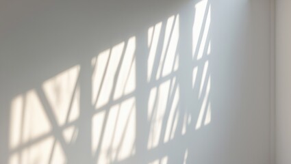 Overlay effect for photographs and mockups. Diagonal organic drop shadow and window light rays on a white wall. Shadows for natural light effects.