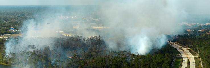 Fire department firetrucks extinguishing wildfire burning severely in Florida jungle woods....