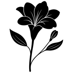 black and white flower