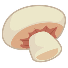 Illustration of a Mushroom