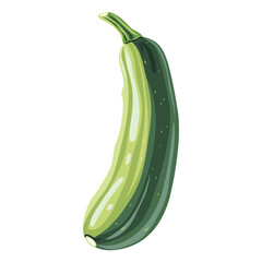 zucchini isolated on white background