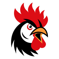 rooster isolated on white background