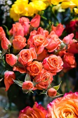 Vibrant Orange Roses with Yellow Background