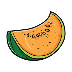 Fototapeta premium vector illustration of a melon
