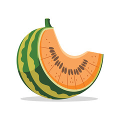 vector illustration of a melon