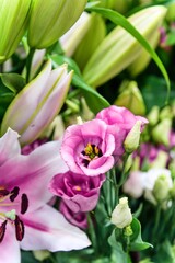 Pink Lisianthus and Lily in Blooming Harmony