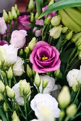 Vibrant Purple Lisianthus Amidst White Blooms