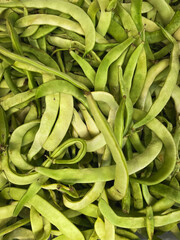  Pile of fresh green beans
