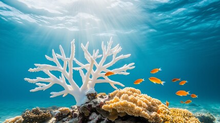Vibrant Underwater Scene with Coral and Colorful Tropical Fish