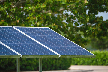Solar panels installed on stand frame near parking lot for effective generation of clean...