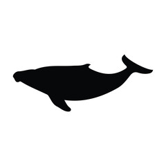 Obraz premium whale silhouette
