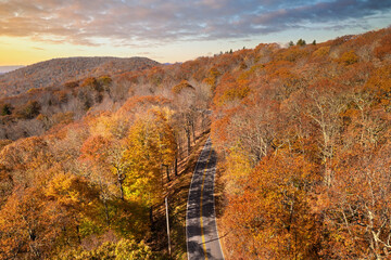 Winding parkway road in colorful mountain forest with yellow canopies in autumn at sunset. Driving...